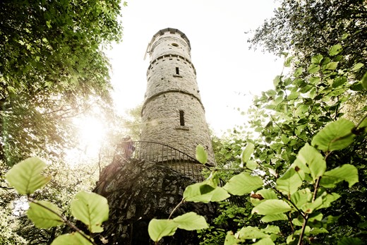 Alteburgturm im Soonwald