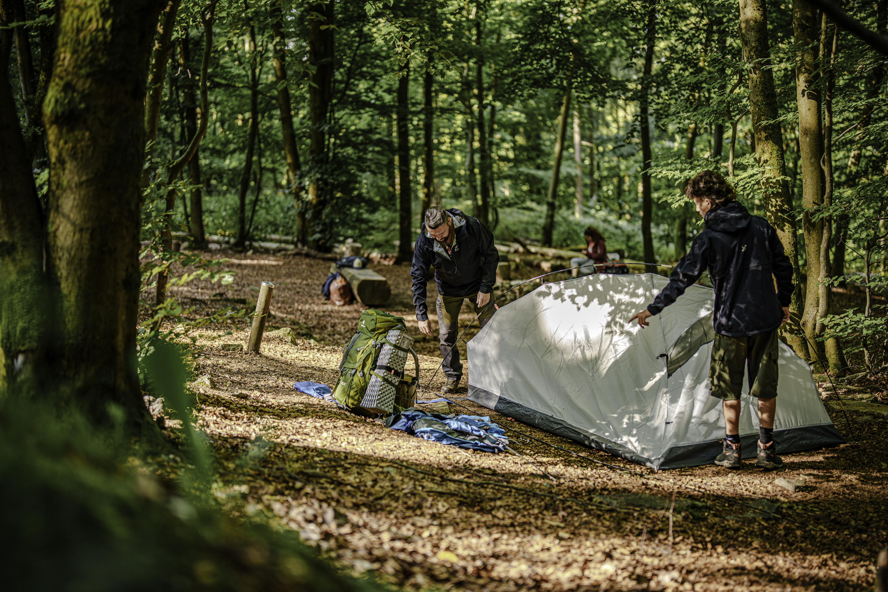 Trekking Soonwald
