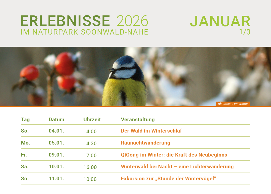 Erlebnisse im Januar