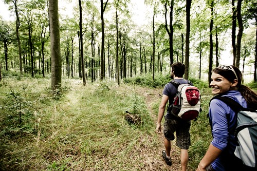 Wandern auf dem Soonwaldsteig