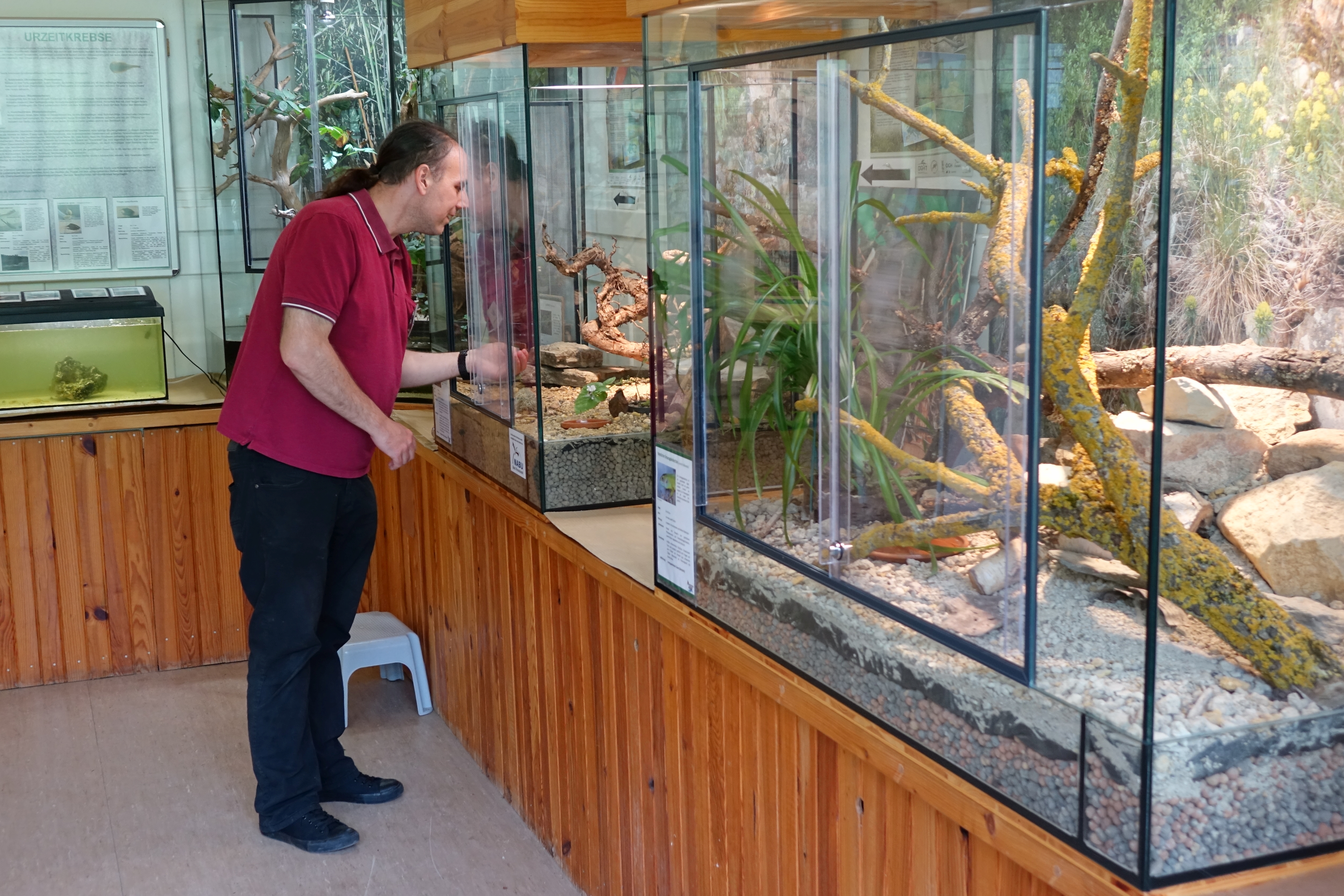 Nature Station Living Nahe - Bad Münster am Stein