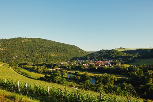 Weinbau an der Nahe
