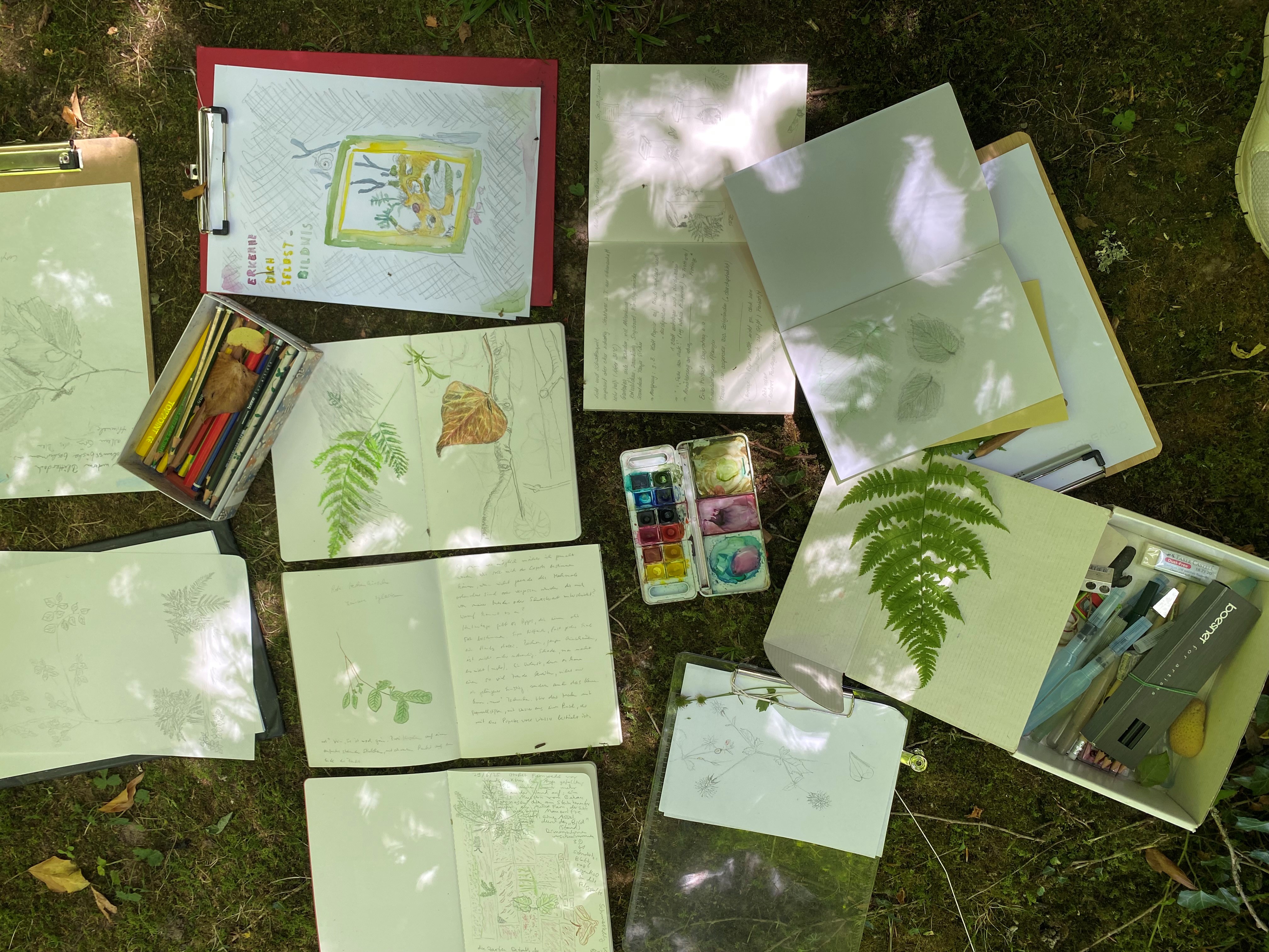 Am 05.10. mit dem Skizzenbuch die Natur erleben 