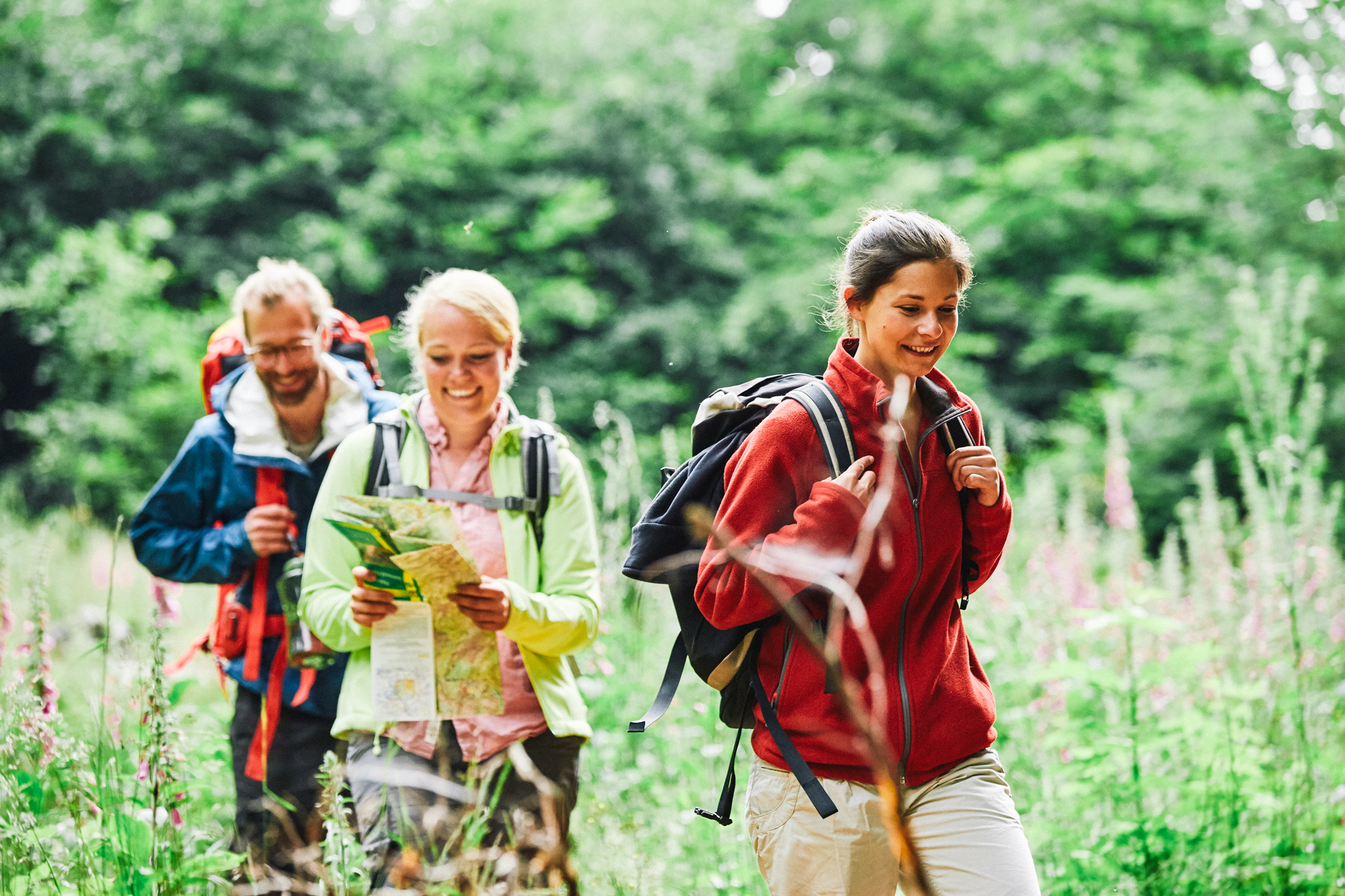 Hiking in between forest trails and vineyard paths