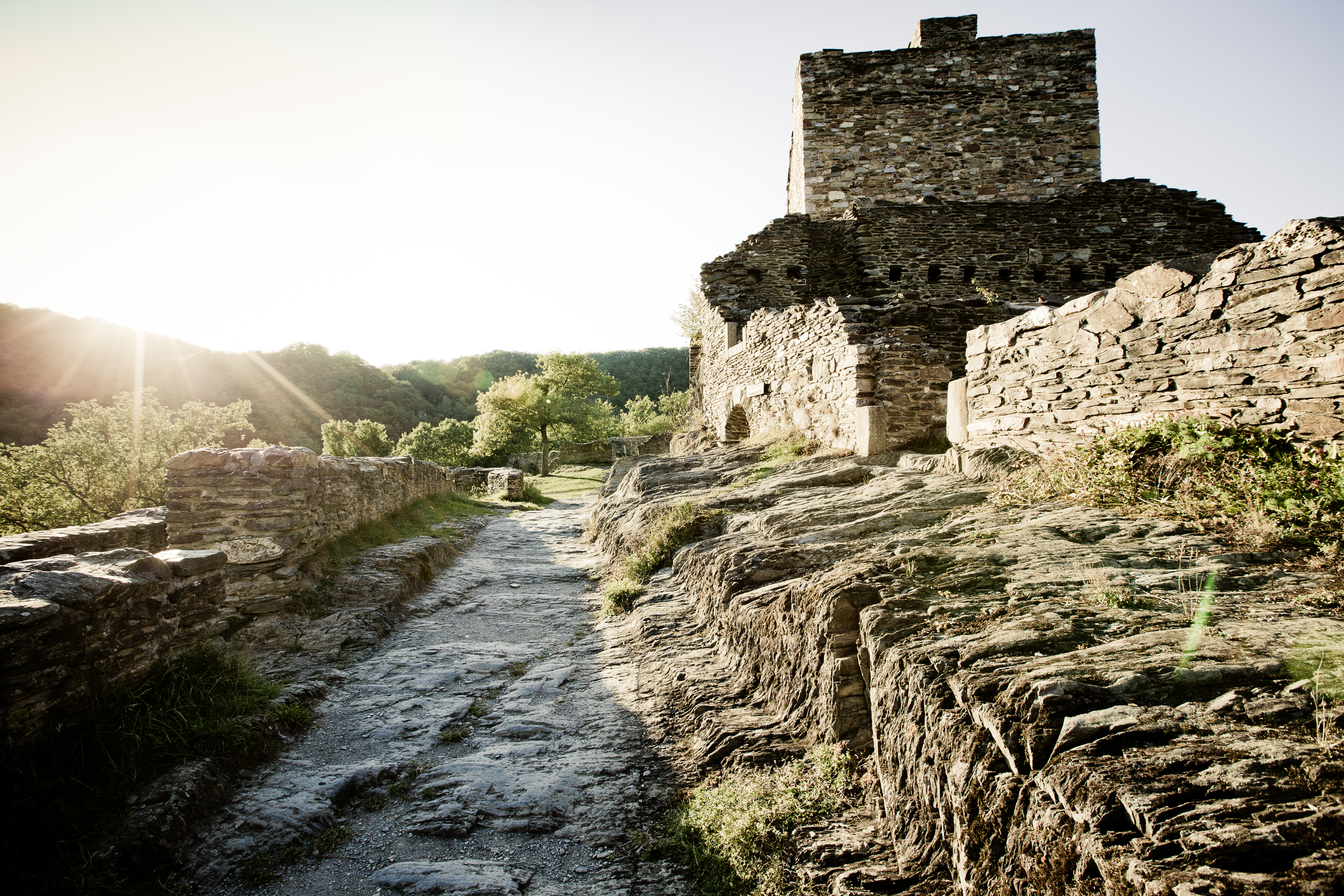 Survival camp for children at Schmidtburg (22nd to 25th of April)