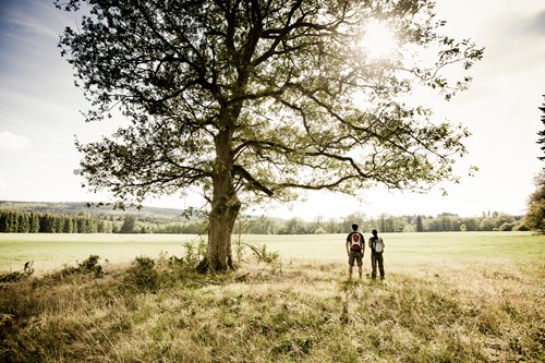 Wandern auf dem Soonwaldsteig
