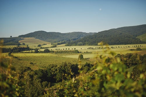 Landschaft
