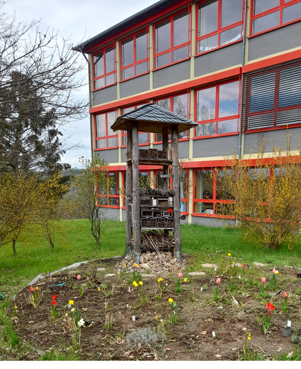 (c) Soonwaldschule Gemünden