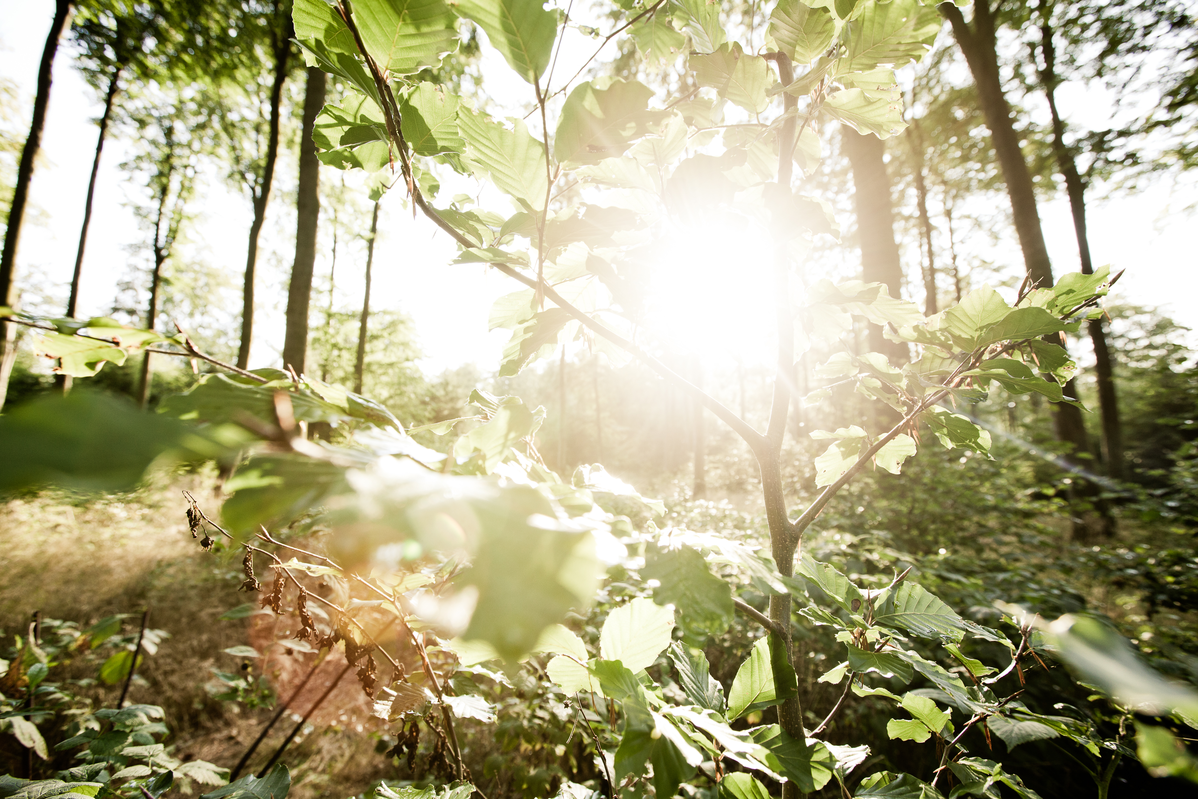 Nahe der Natur – hands-on museum for nature conservation