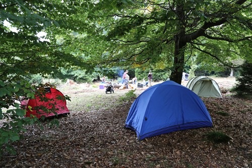 Trekking im Soonwald