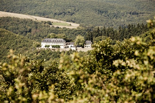 Schloss Wartenstein bei Kirn
