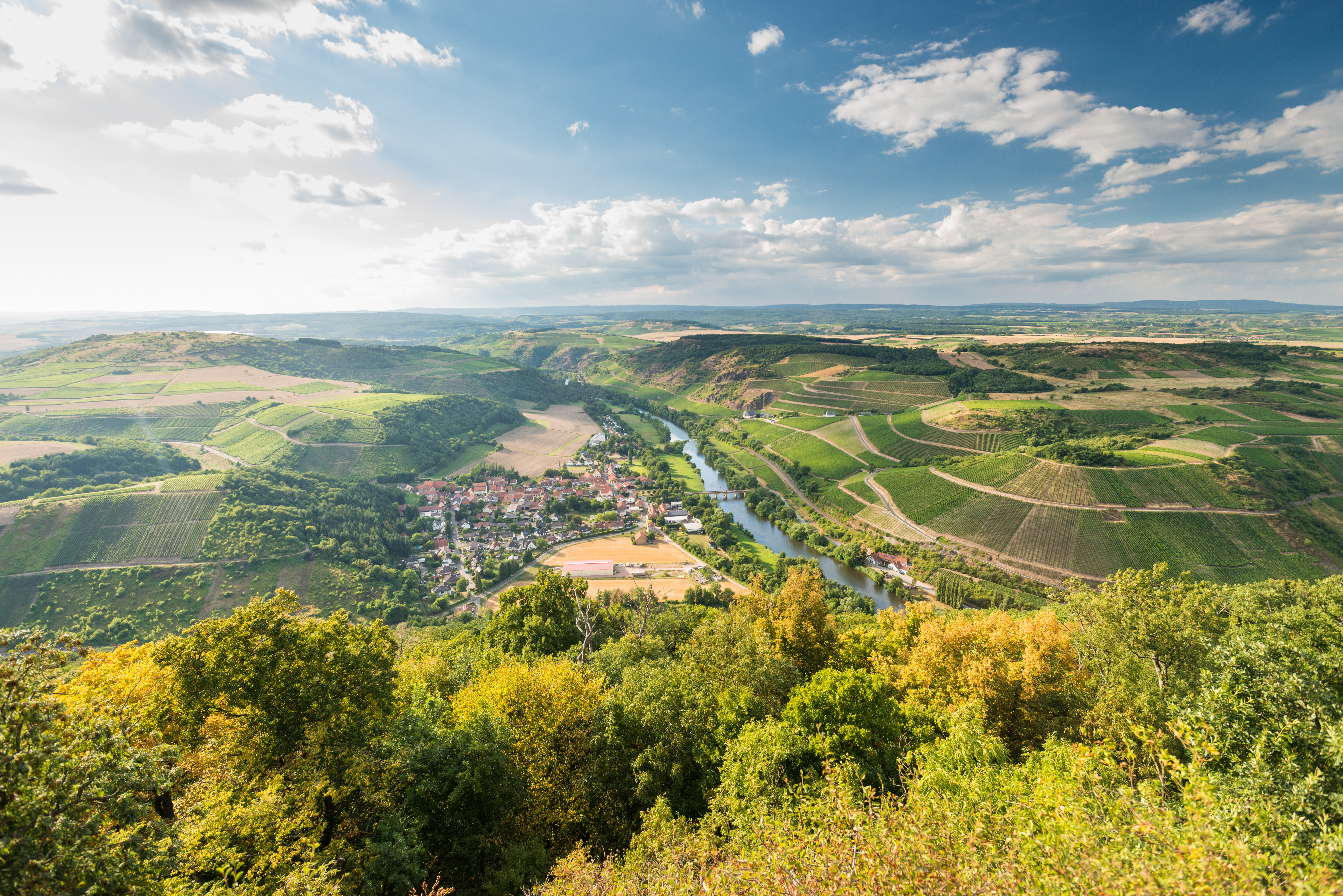 Abstimmung Vitaltour "Geheimnisvoller Lemberg"