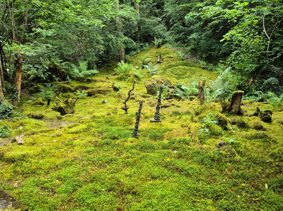 Großer Erlebnistag "Nahe der Natur" am 31.05.2026 in Staudernheim