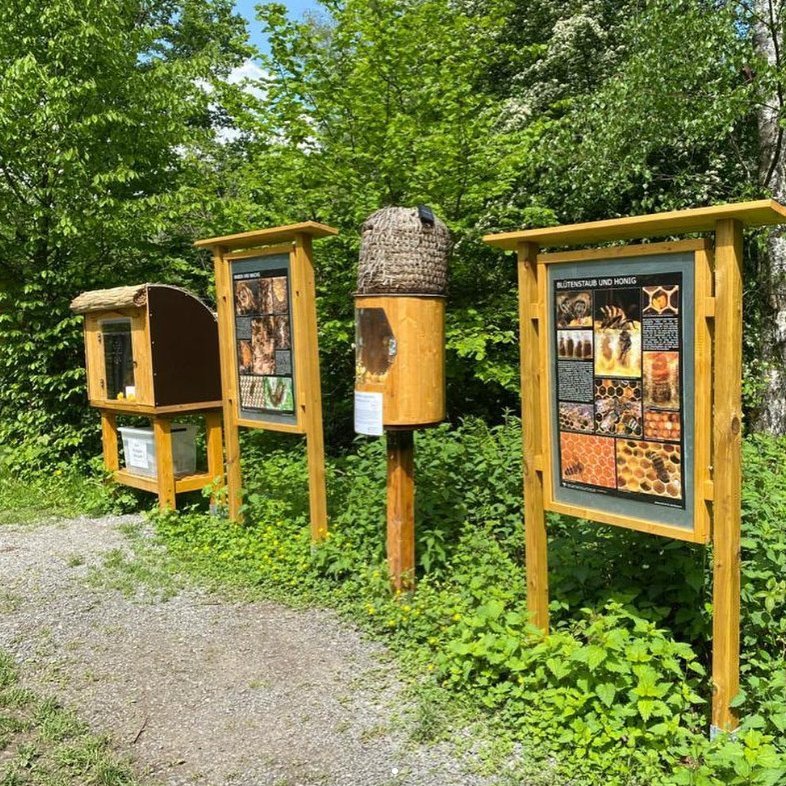 26.09.: Spendenlauf für Bienen