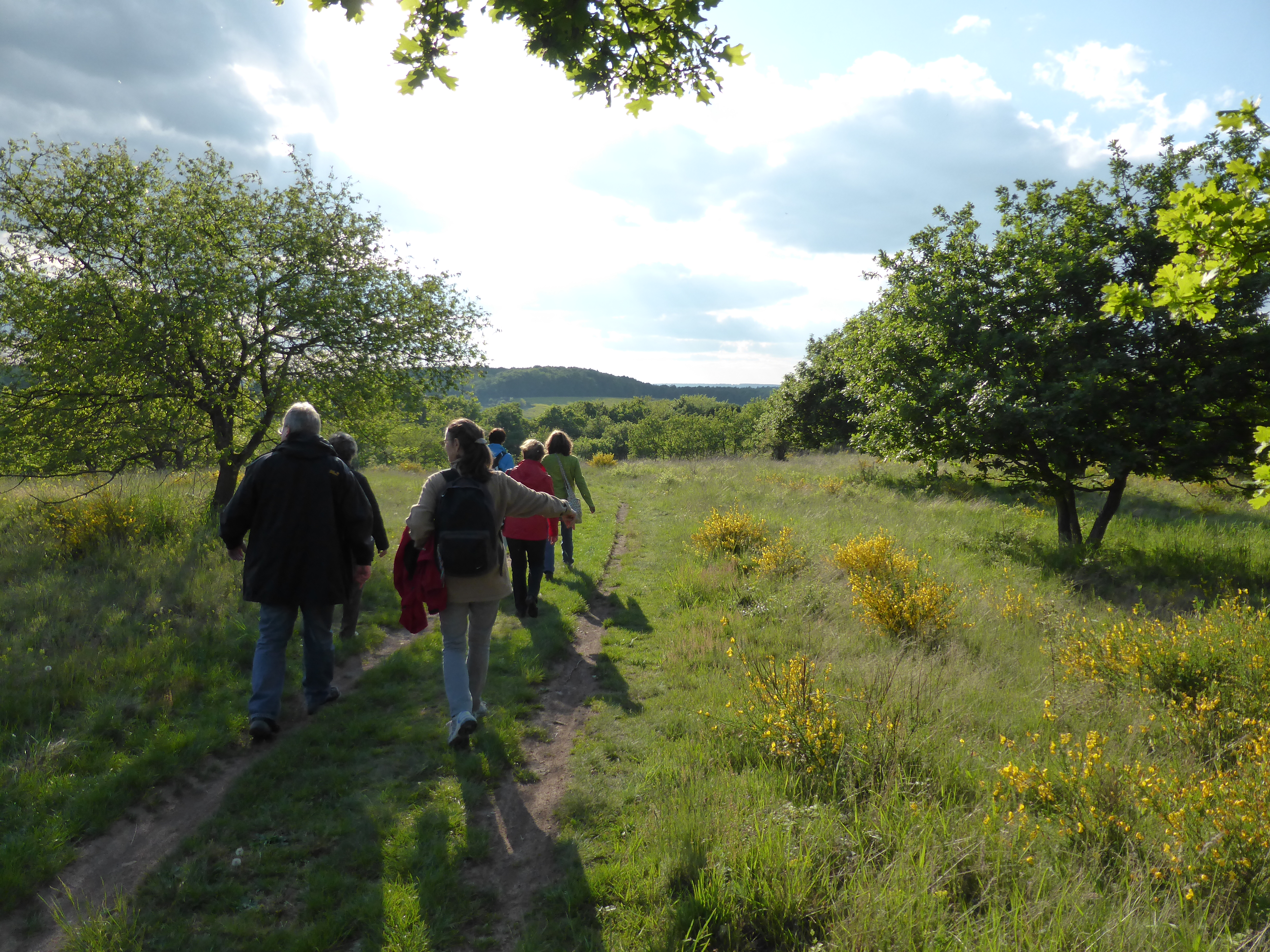 Zertifizierte Natur- und Landschaftsführer
