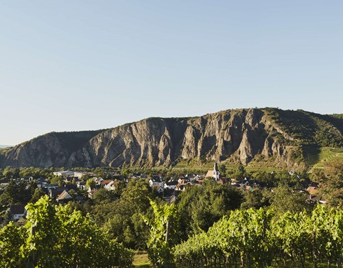 Rotenfels